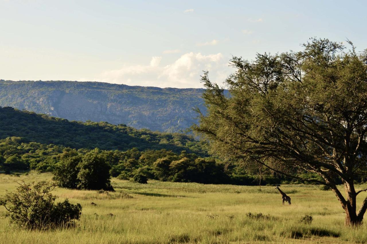 Leshiba Wilderness Villa Louis Trichardt Eksteriør bilde