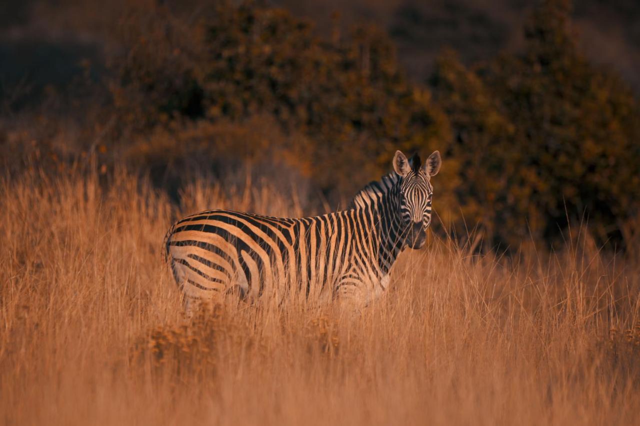 Leshiba Wilderness Villa Louis Trichardt Eksteriør bilde